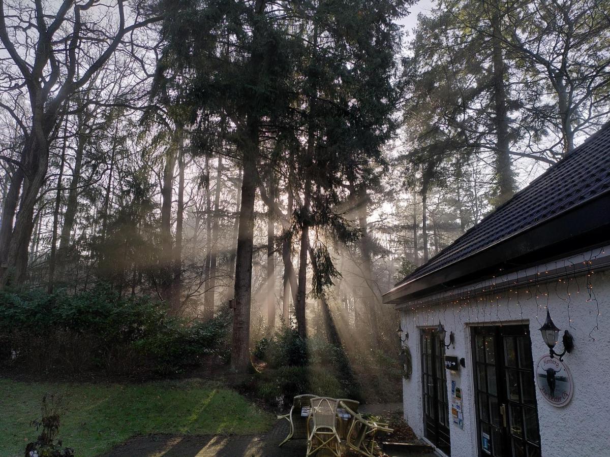 Herberg De Eexter Os Bagian luar foto