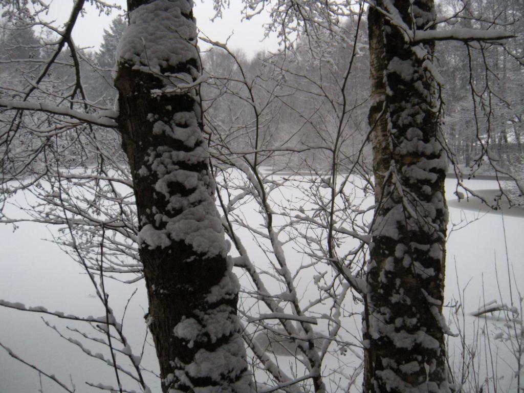 Herberg De Eexter Os Bagian luar foto