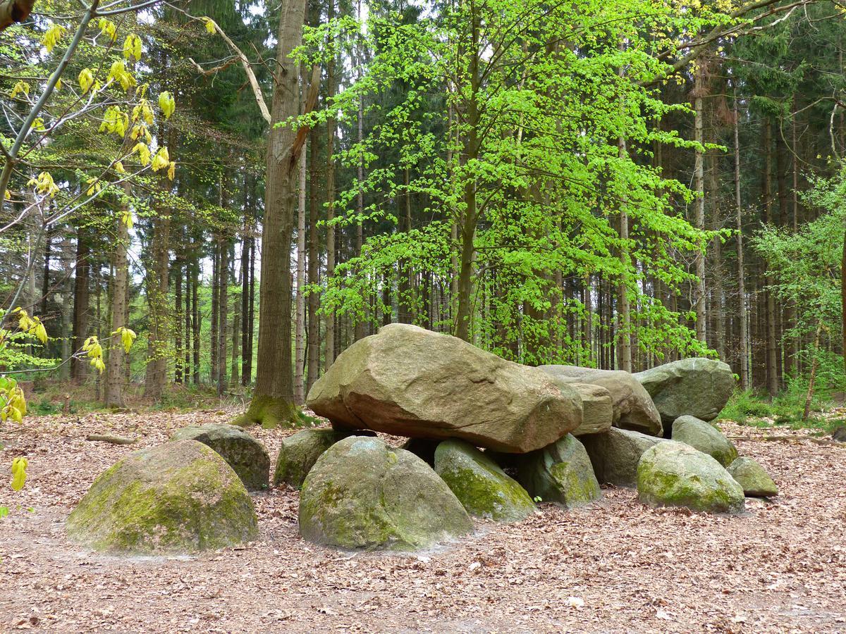 Herberg De Eexter Os Bagian luar foto